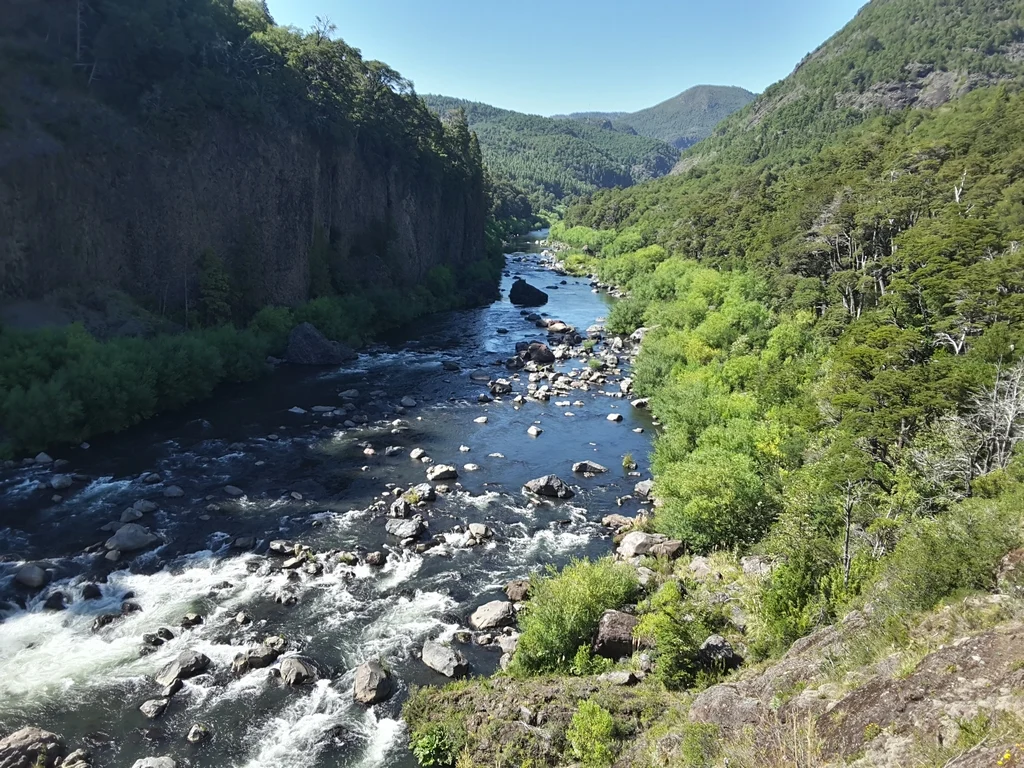 Paisaje de río y bosque del archivo de Santa Berta
